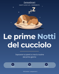 Prime notti con il cucciolo