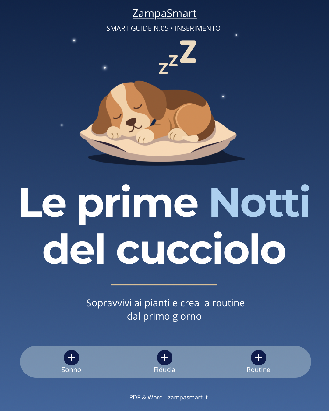 Prime notti con il cucciolo