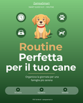 Routine quotidiana